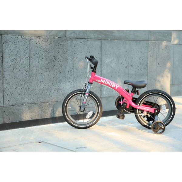 Фото - Двоколісний велосипед Qplay Miniby 3в1 Pink (CB01MiniByPink)